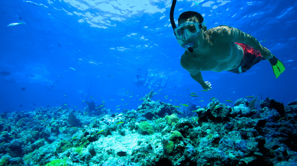 2018-08-21_1210 Snorkeling