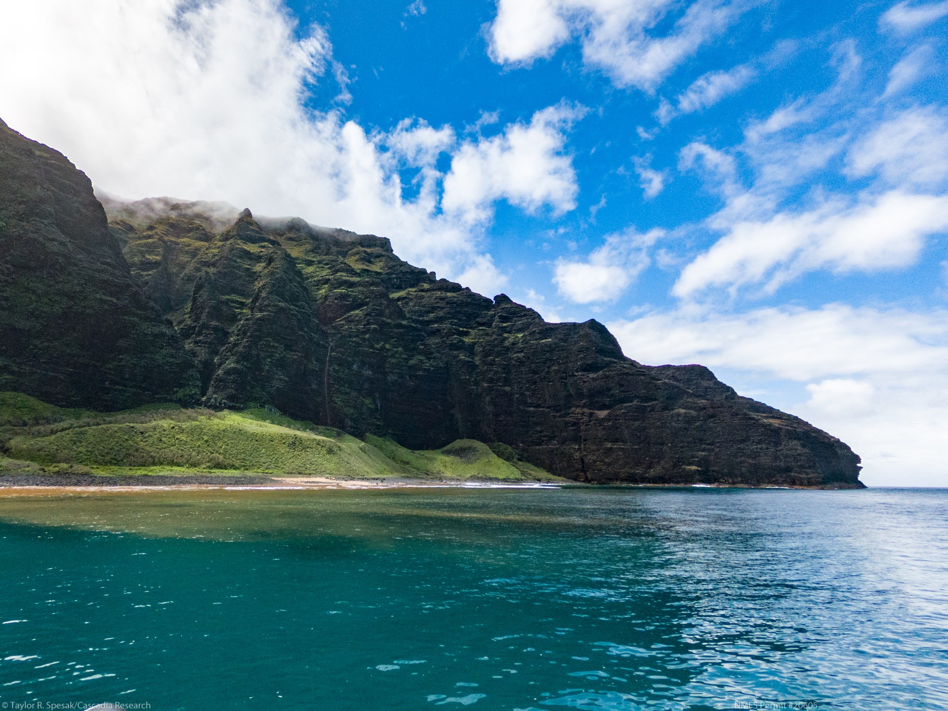 Catamaran Kahanu photo 3